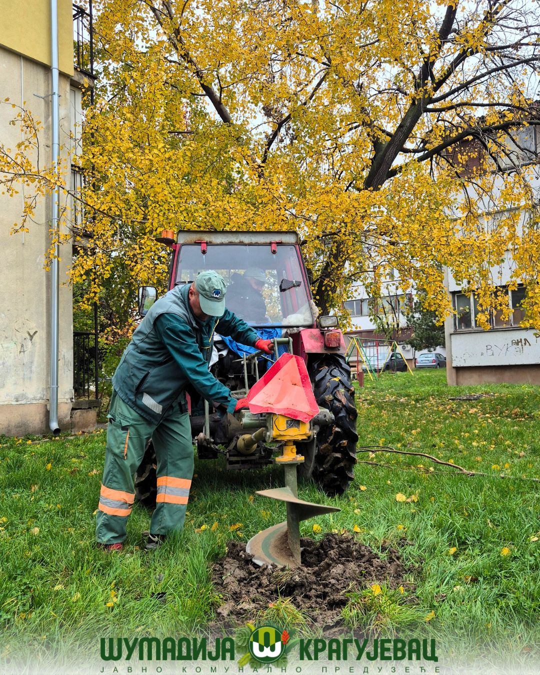 Sadnja lišćarskih i četinarskih sadnica u okviru projekta  „Kragujevac u zelenoj boji – priroda u srcu grada“ 